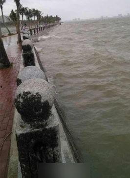 湛江赤坎最新新闻爆料,最新爆料揭示惊人真相